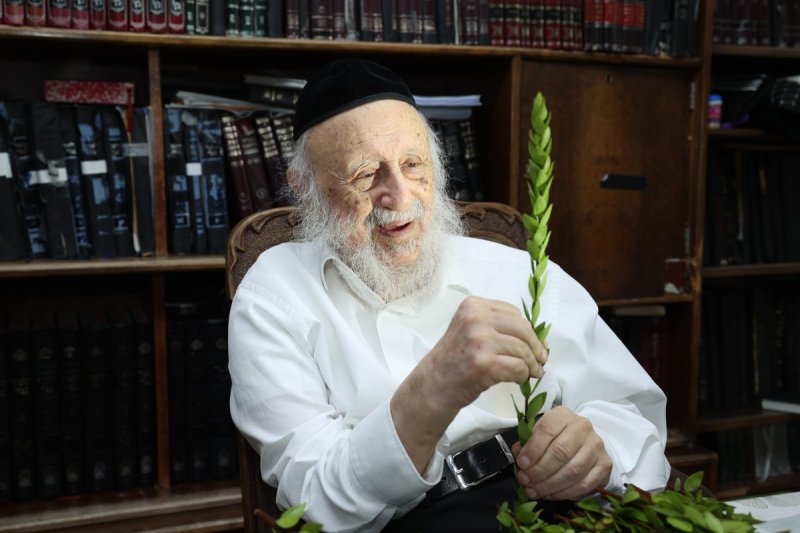 דוד ארזני