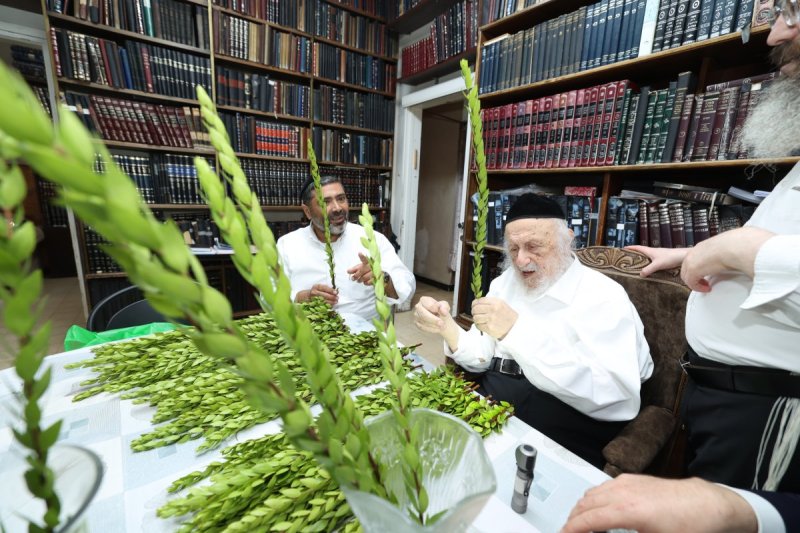 דוד ארזני