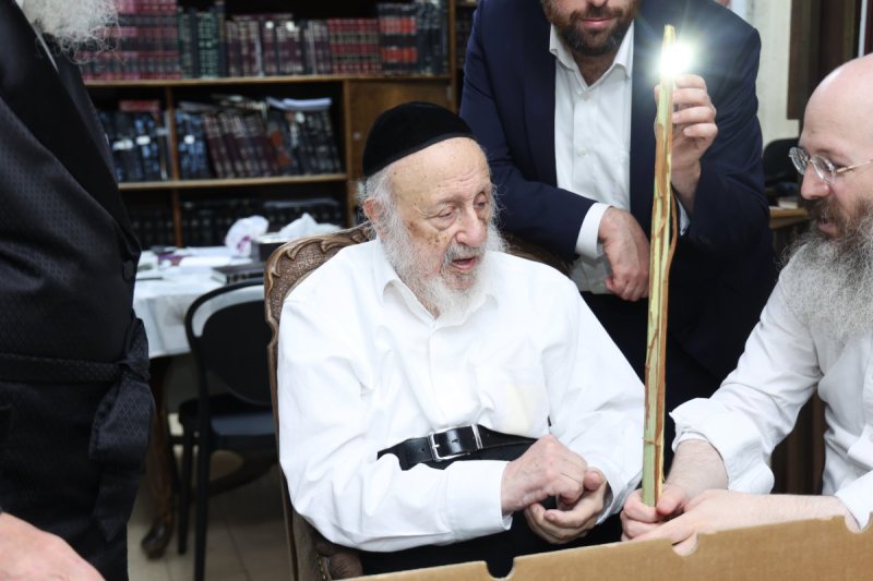 דוד ארזני