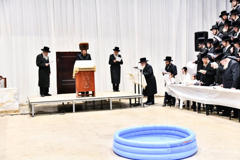 שוקי לרר