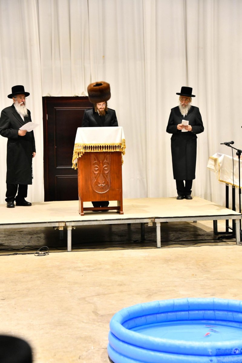 שוקי לרר