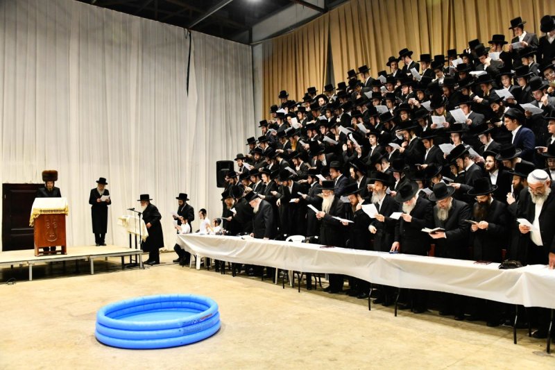 שוקי לרר