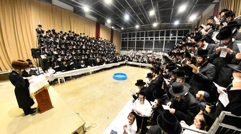 שוקי לרר