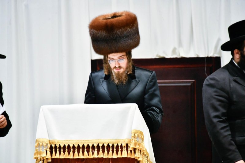 שוקי לרר