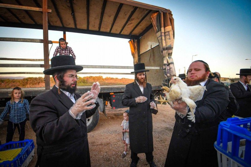 ארי קופרשטוק