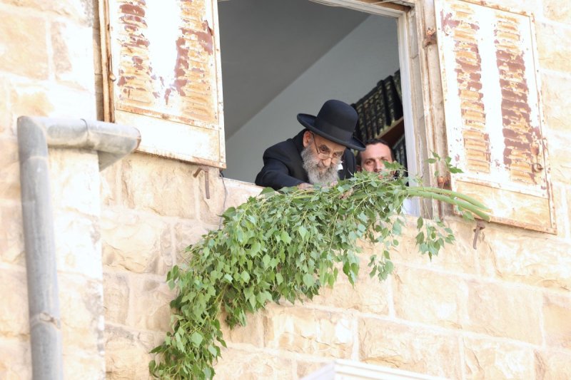 דוד ארזני