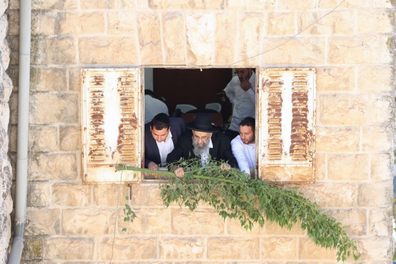 דוד ארזני