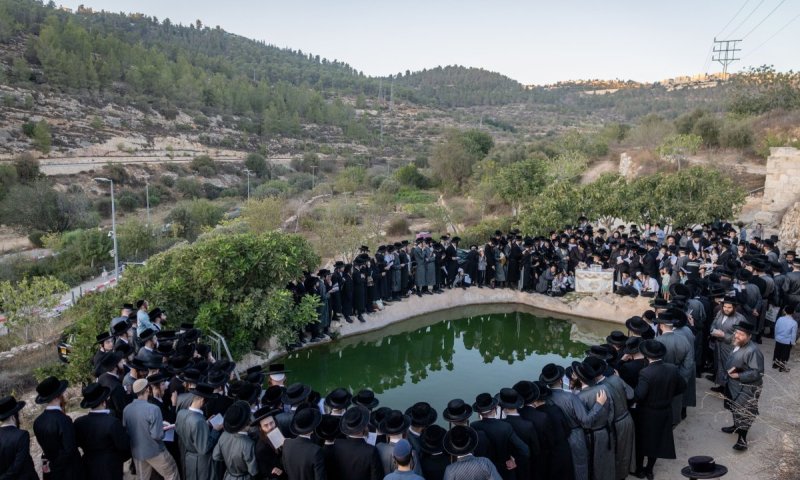 בבריכה העתיקה של עין חניה: החסידים ממאה שערים ב'תשליך' עם הרבי