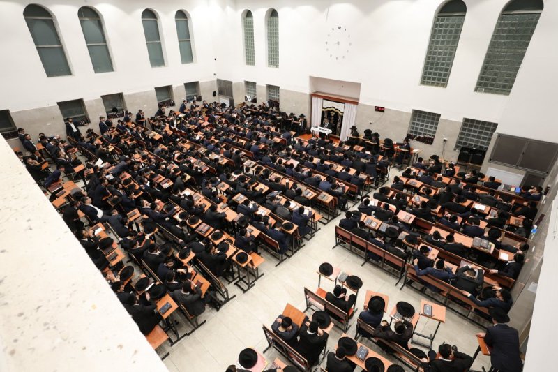 יעקב כהן