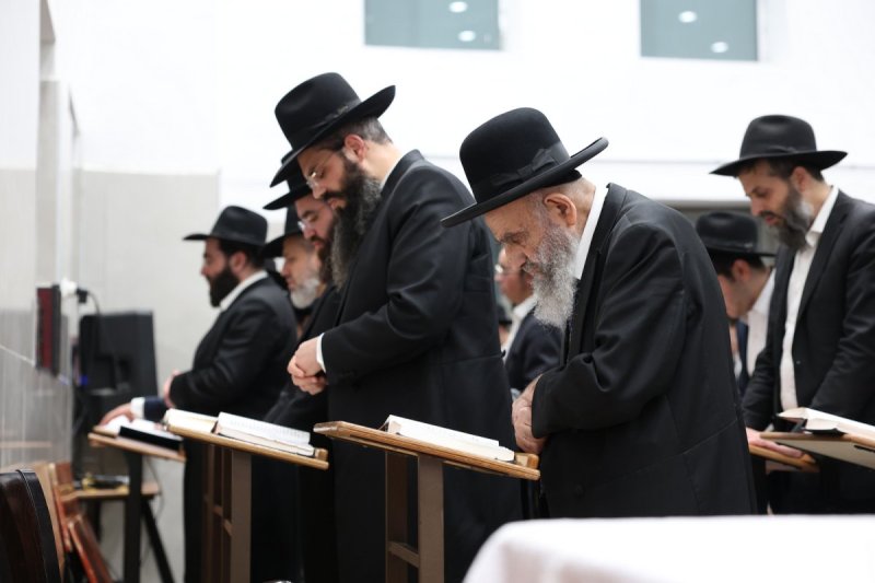 יעקב כהן