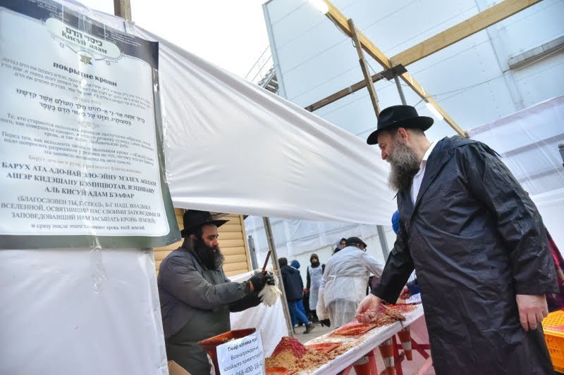 לוי נאזרוב