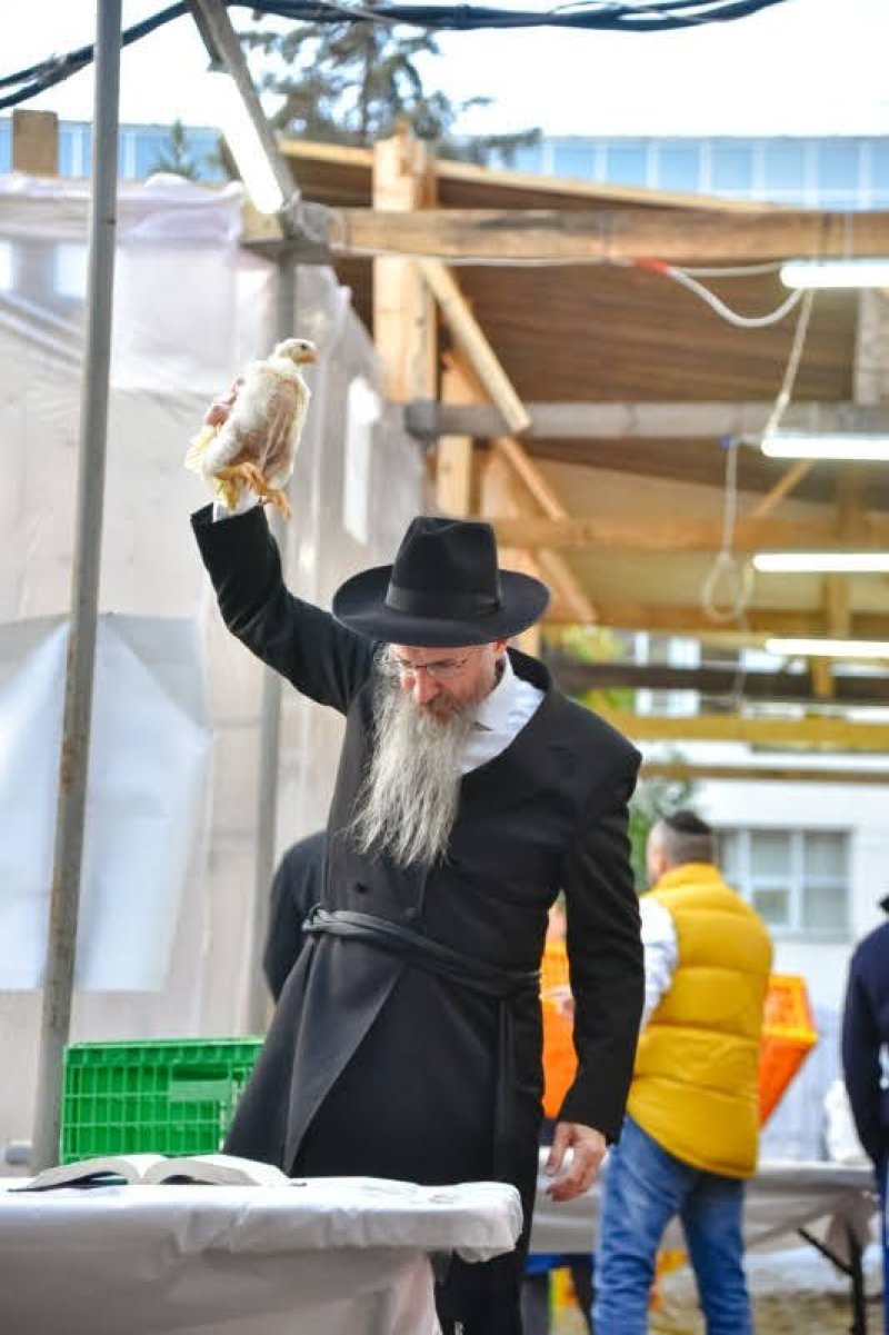 לוי נאזרוב