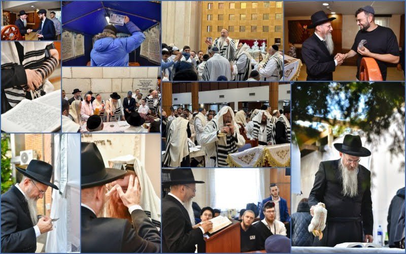 לוי נאזרוב