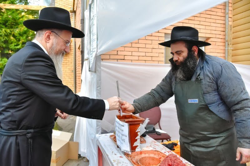לוי נאזרוב