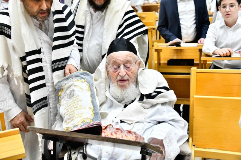 שוקי לרר