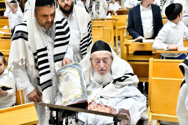 שוקי לרר