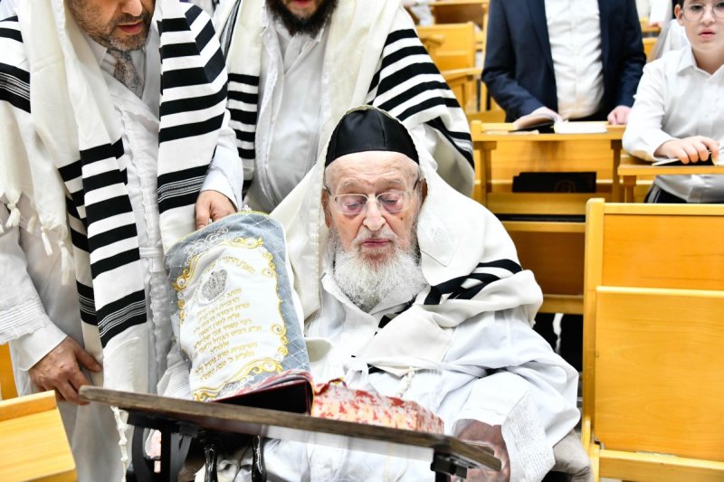 שוקי לרר