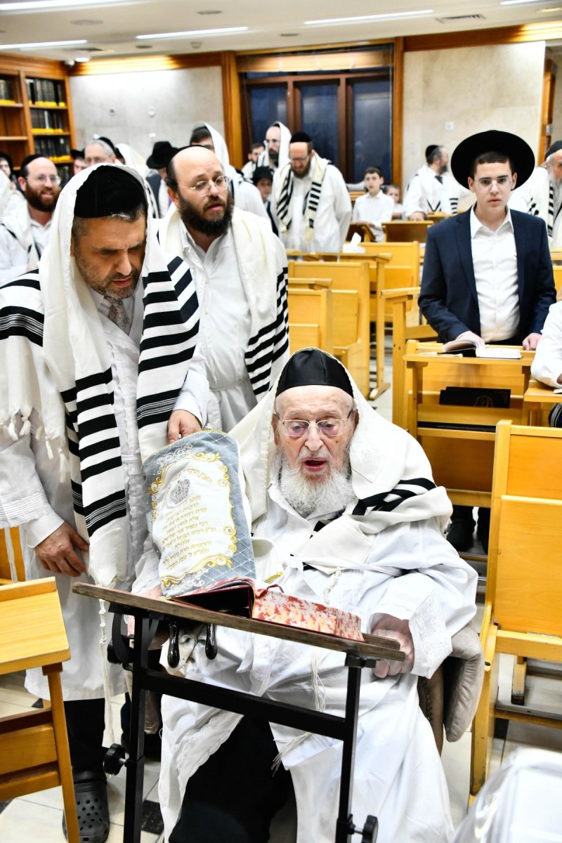 שוקי לרר