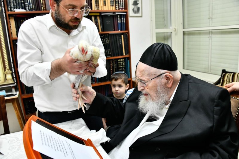 שוקי לרר