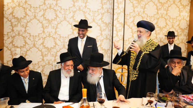 יוסי מאמיה