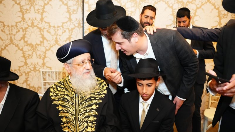 יוסי מאמיה