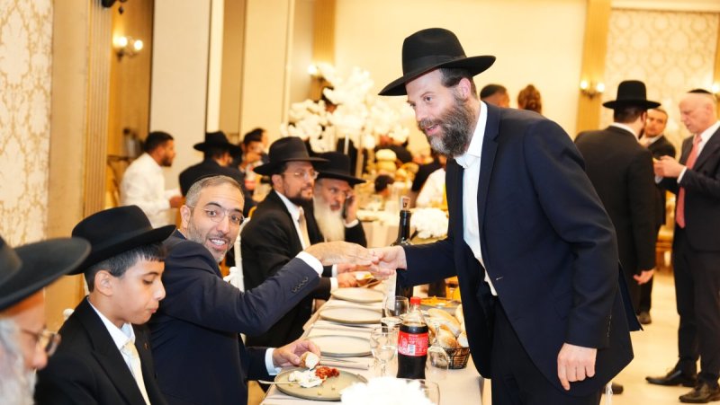 יוסי מאמיה