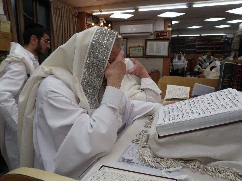 שוקי לרר