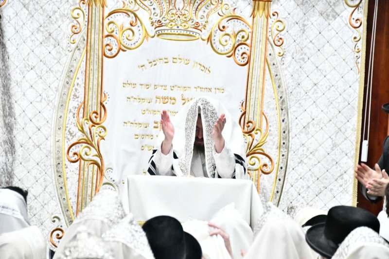 שוקי לרר