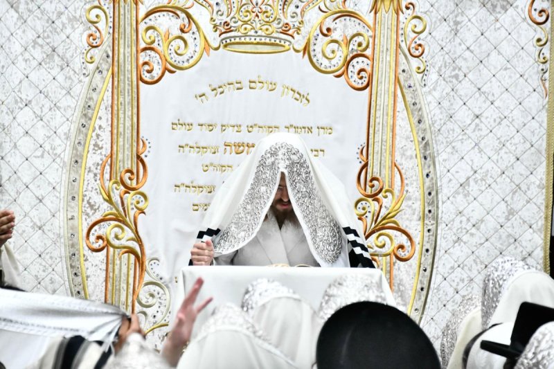 שוקי לרר