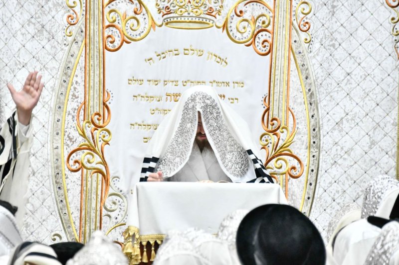 שוקי לרר