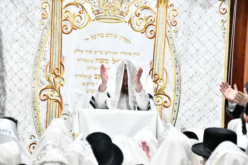 שוקי לרר
