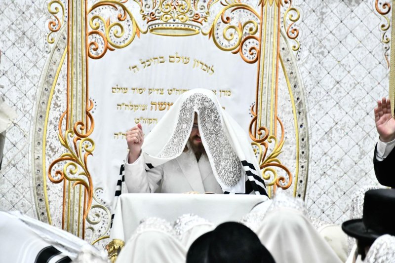 שוקי לרר