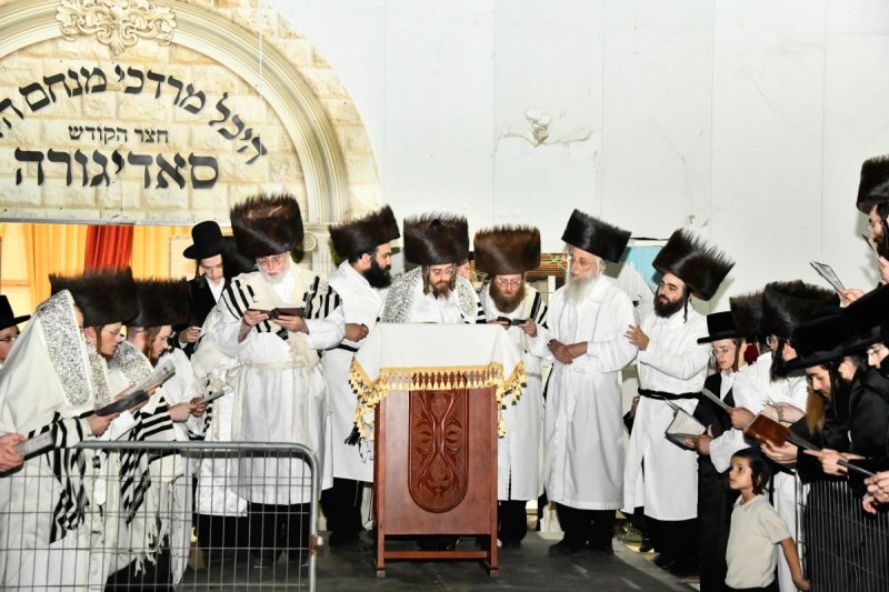שוקי לרר