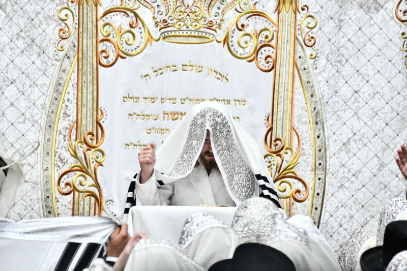 שוקי לרר