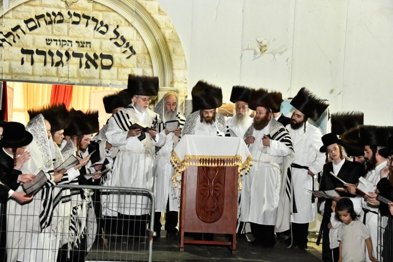 שוקי לרר