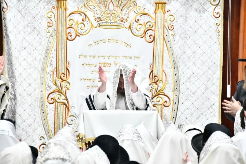 שוקי לרר
