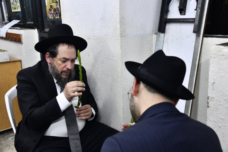 שוקי לרר