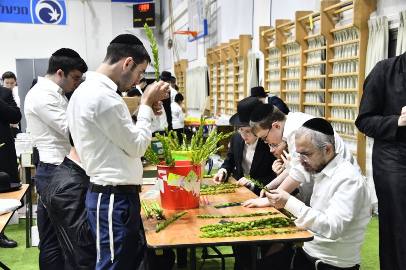 שוקי לרר
