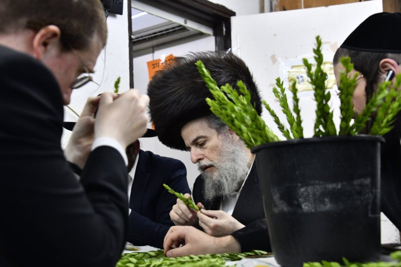שוקי לרר