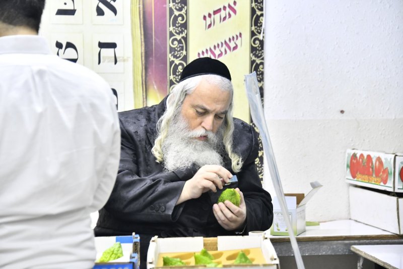 שוקי לרר