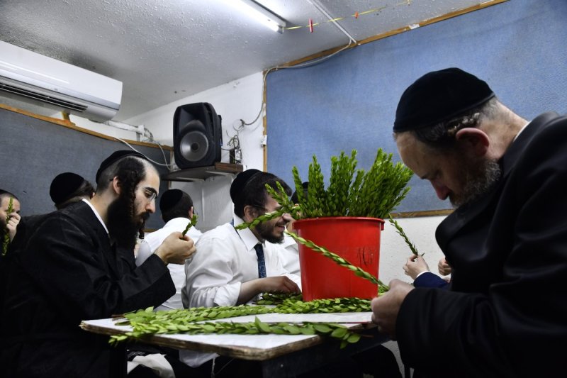 שוקי לרר