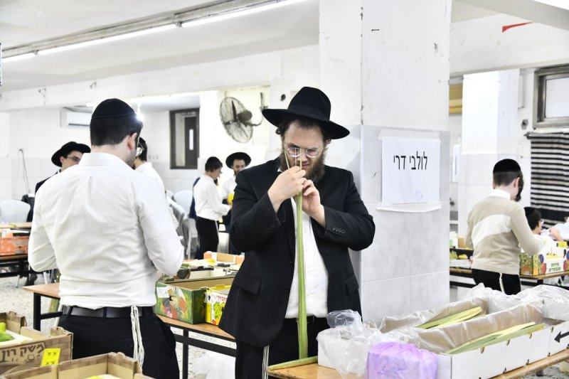 שוקי לרר