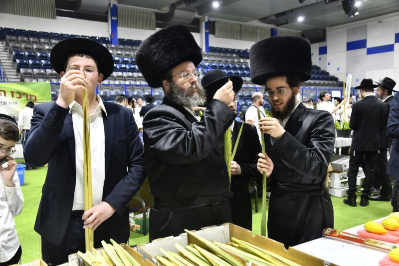שוקי לרר