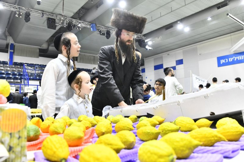 שוקי לרר