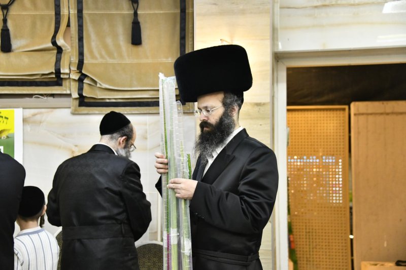 שוקי לרר