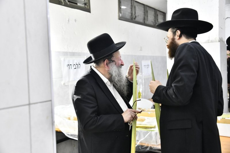 שוקי לרר