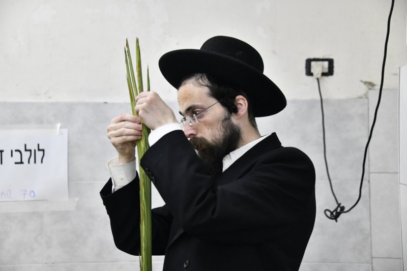 שוקי לרר