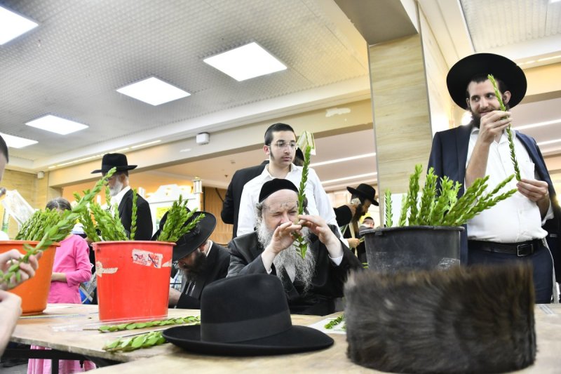 שוקי לרר