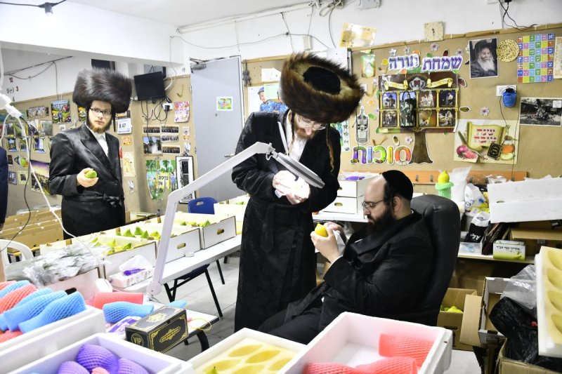 שוקי לרר