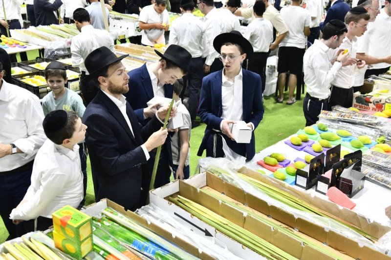 שוקי לרר